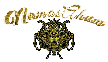 Namas-Aham-Logo-Semi Outline-Small